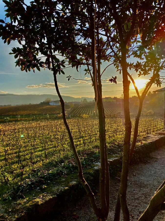 Casa Dos Barros Winery By Vintage Theory Séjour à la ferme